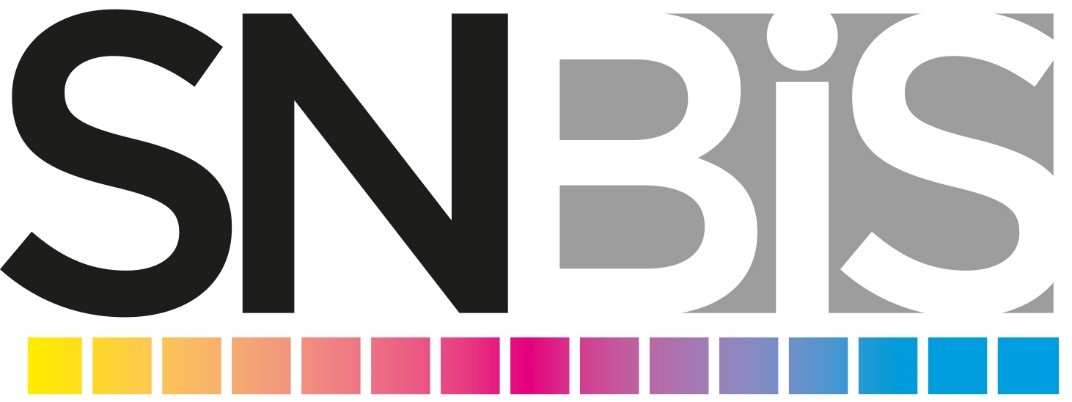 SNBIS SEINE NORMANDIE BUREAUTIQUE INFORMATIQUE ET SERVICES