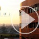 image inneos